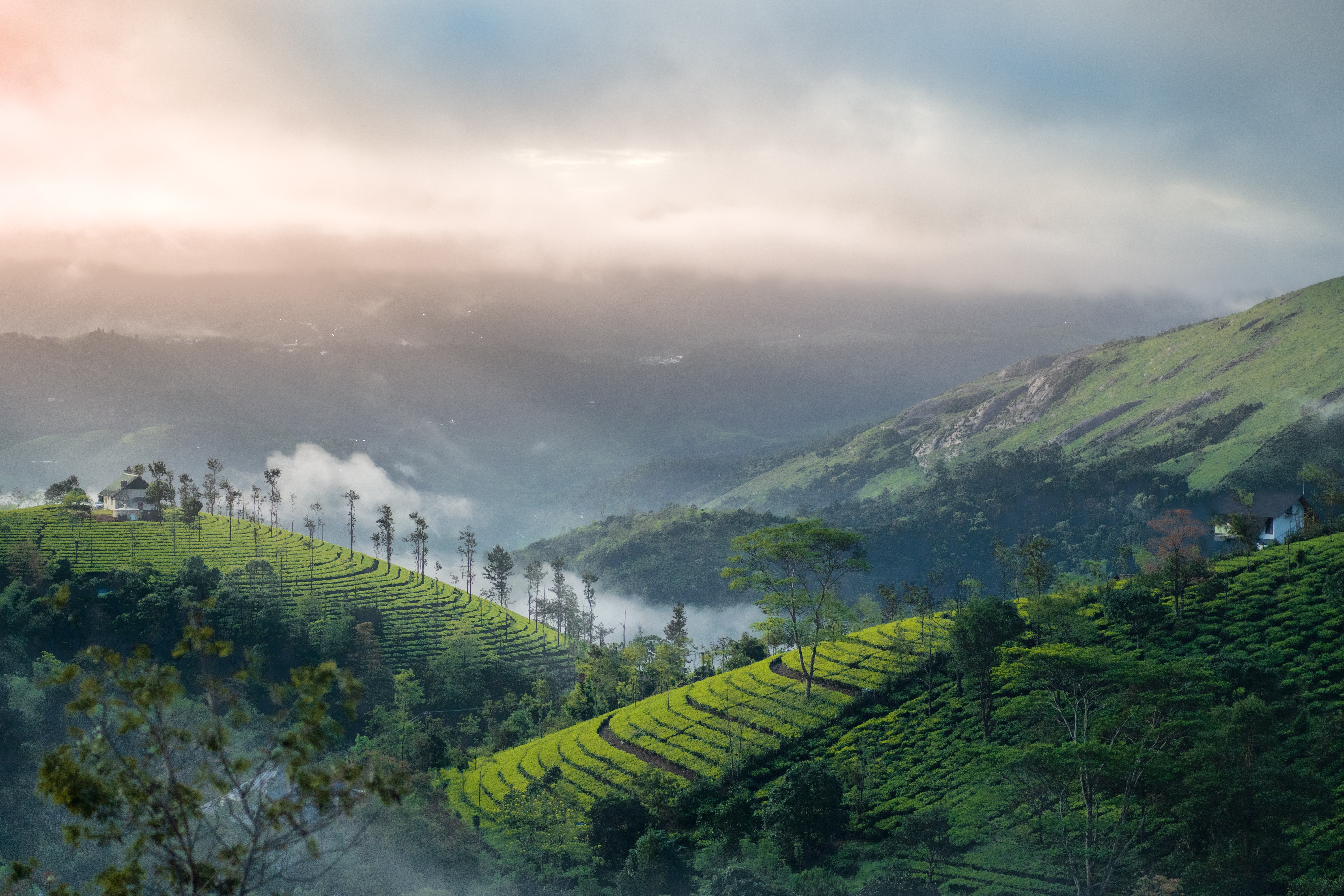 kerala