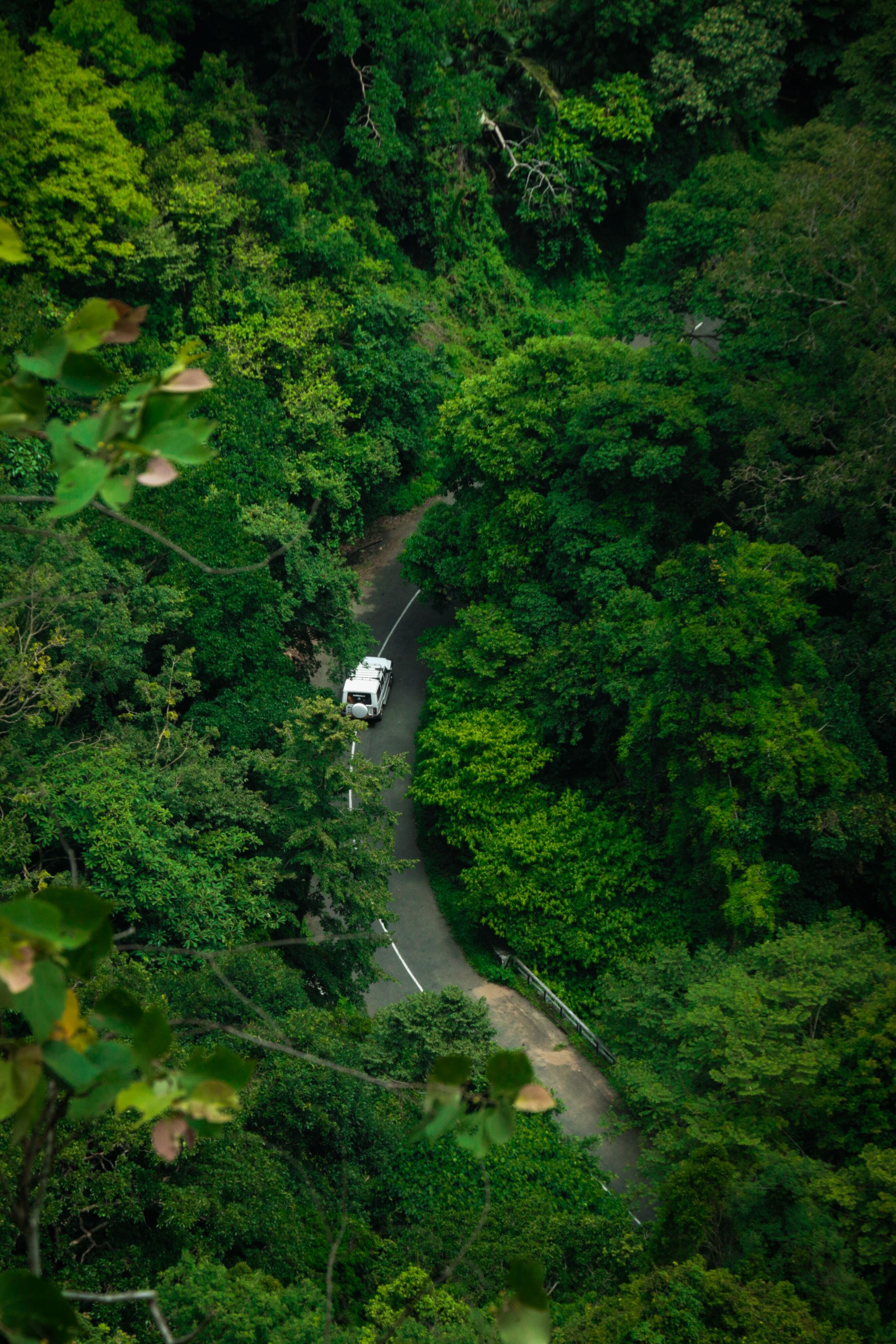 kerala